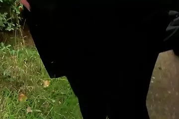 ملكة اللعنة Doggystyle مقاطع افلام سكسي اجنبي