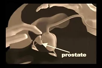 كاتيا في جوارب تفضل الجنس الخشن ونائب الرئيس على مقطع سكسي اجنبي الثدي.