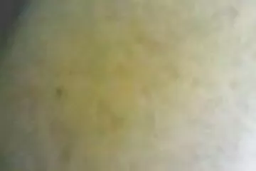 يقودها المحرك بواسطة المشجع سكسي اجمبي الشاب